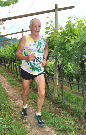 14 giuseppe signorelli