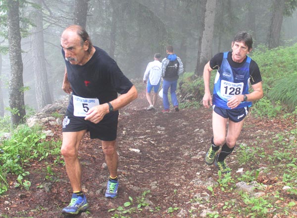 36 crisci-dalcolmo