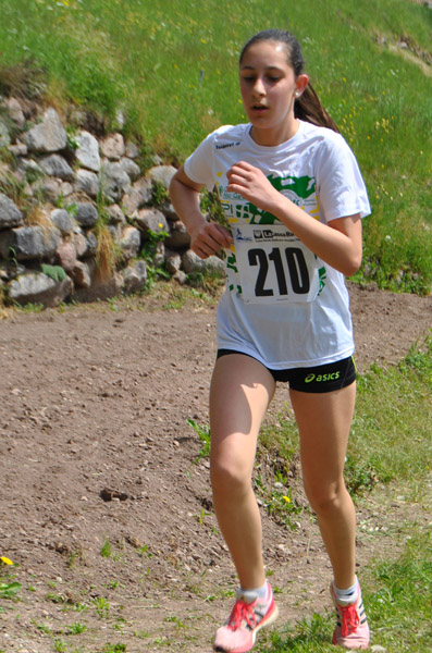 32 alice