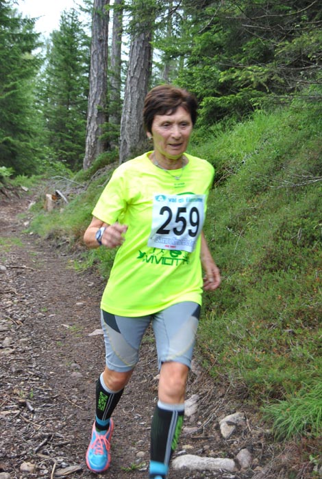 29-secchi