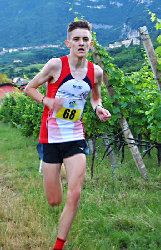 33-devid-caresani