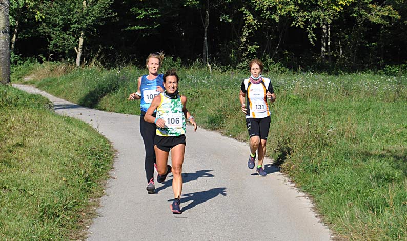 16-gruppo