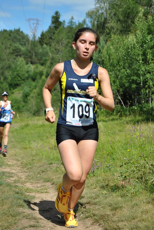 12-ester-molinari