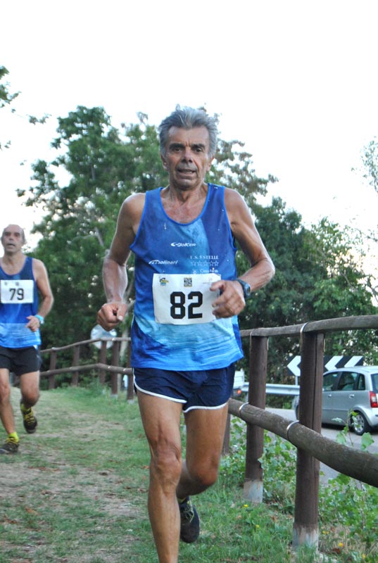 28-lino-t