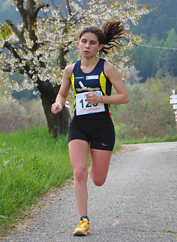 16-ester-molinari